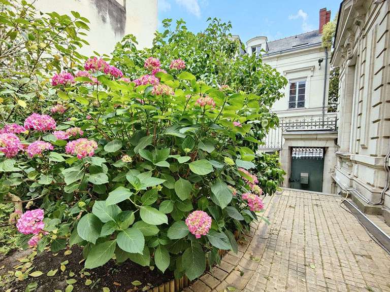 Maison Angers - 8 chambres
