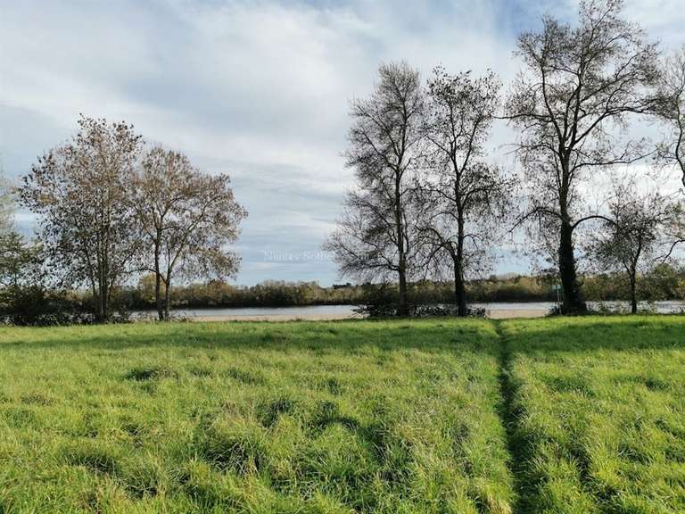 Maison Angers - 4 chambres - 266m²