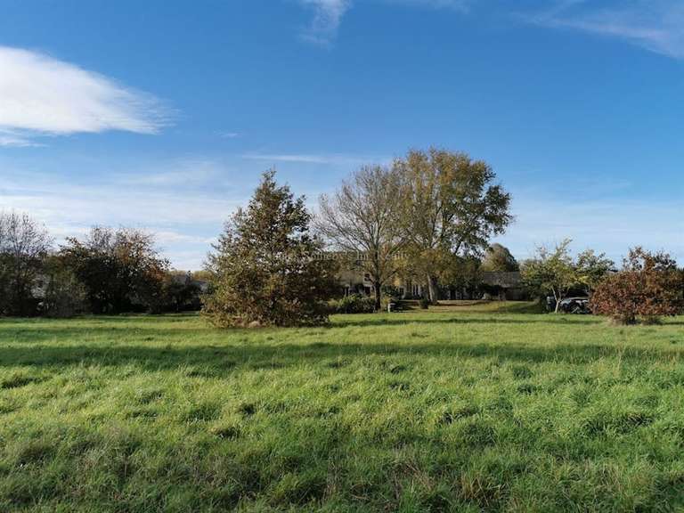 Maison Angers - 4 chambres - 266m²