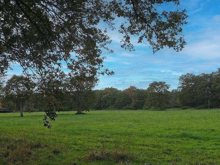 Maison Angers - 15 chambres - 896m²