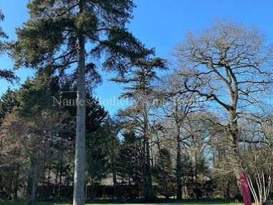 Propriété Angers - 31 chambres - 2160m²