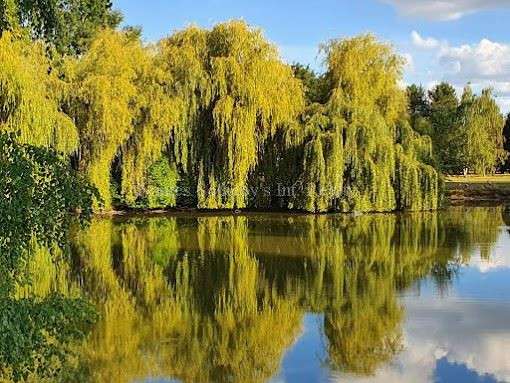 Propriété Angers - 31 chambres - 2160m²