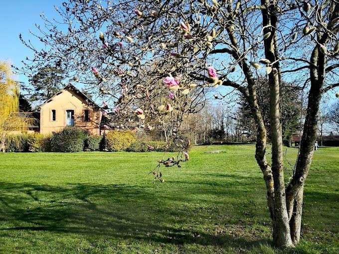 Propriété Angers - 31 chambres - 3056m²