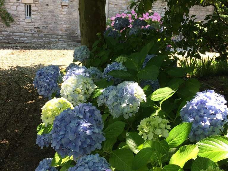 Propriété Anglet - 6 chambres - 225m²