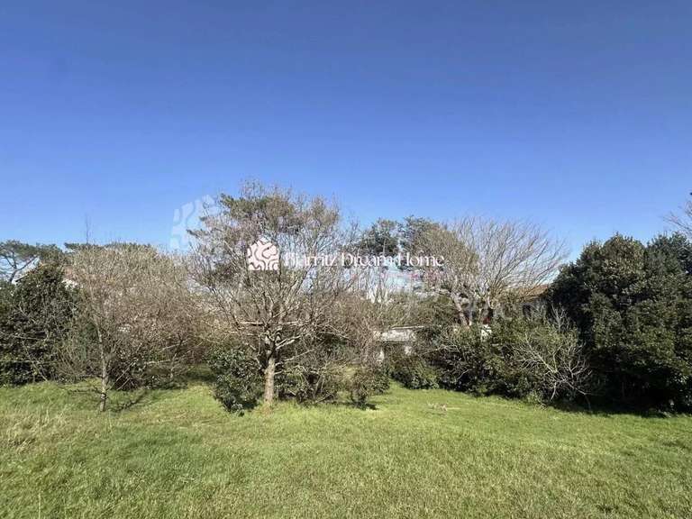 Terrain avec Vue sur mer Anglet - 3000m²