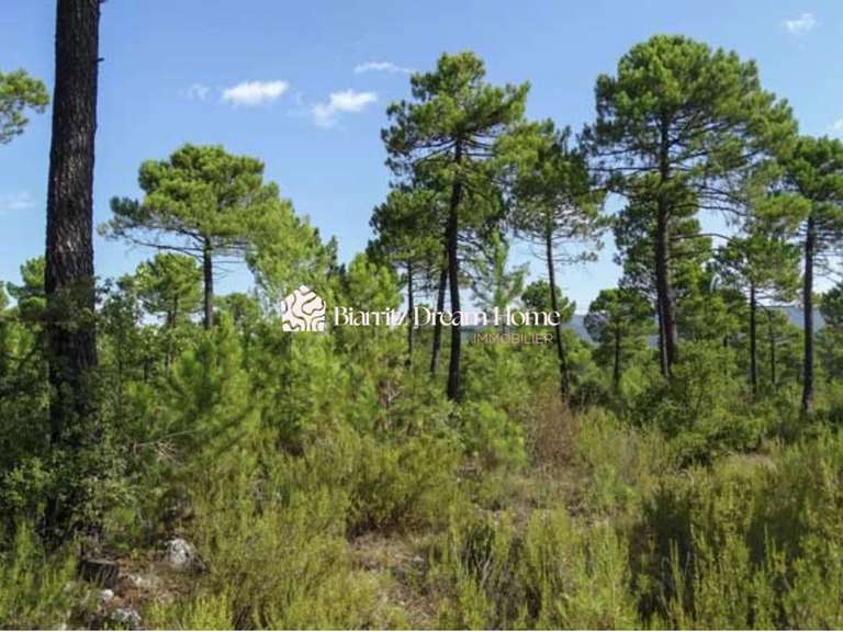 Terrain avec Vue sur mer Anglet - 3000m²