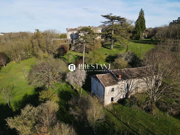 Château Angoulême - 6 chambres - 514m²