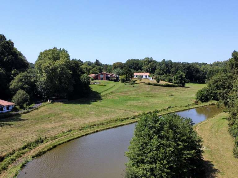 Maison Angresse - 5 chambres - 330m²