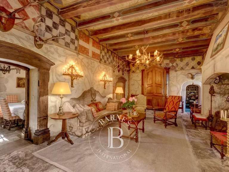 Castle Annecy - 5 bedrooms - 685m²
