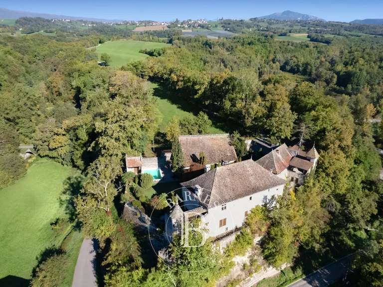Castle Annecy - 5 bedrooms - 685m²