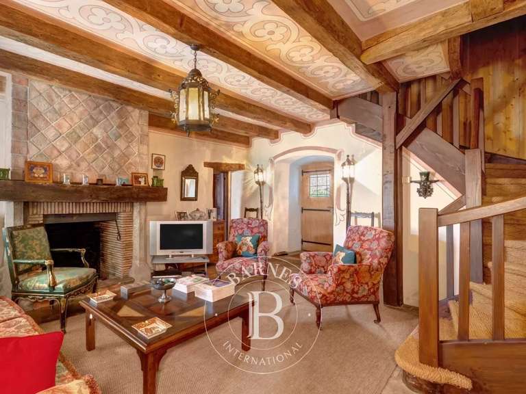 Castle Annecy - 5 bedrooms - 685m²
