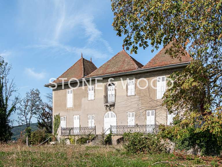 Château Annecy - 7 chambres - 379m²