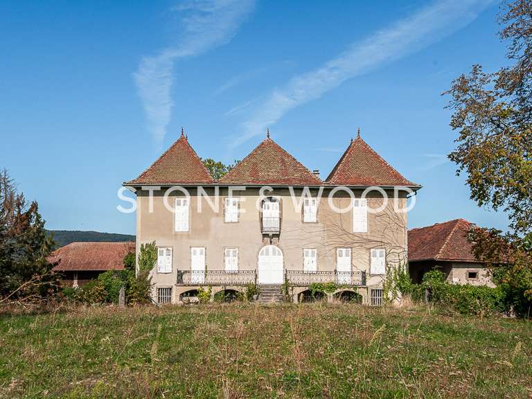 Château Annecy - 7 chambres - 379m²