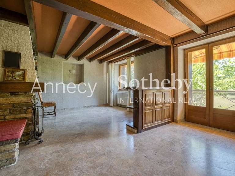 Maison Annecy-le-Vieux - 5 chambres - 480m²