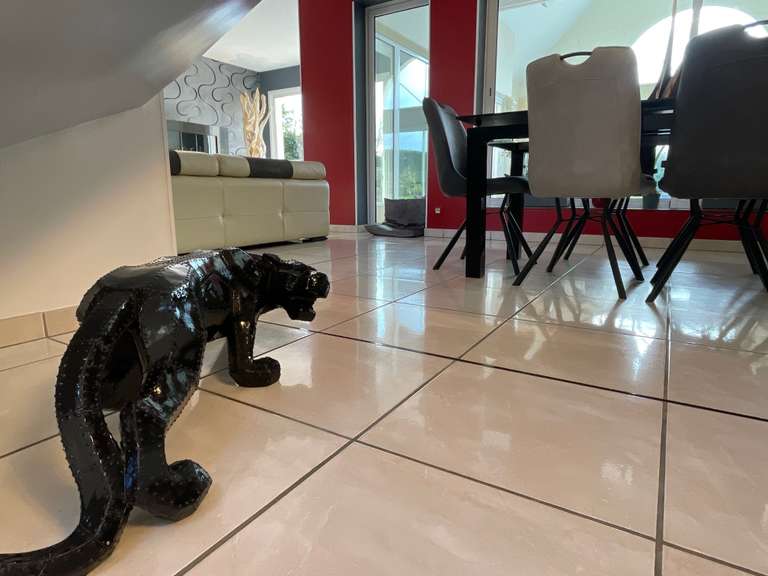 Maison Annet-sur-Marne - 5 chambres - 343m²