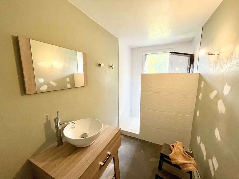 House Ansac-sur-Vienne - 10 bedrooms - 388m²