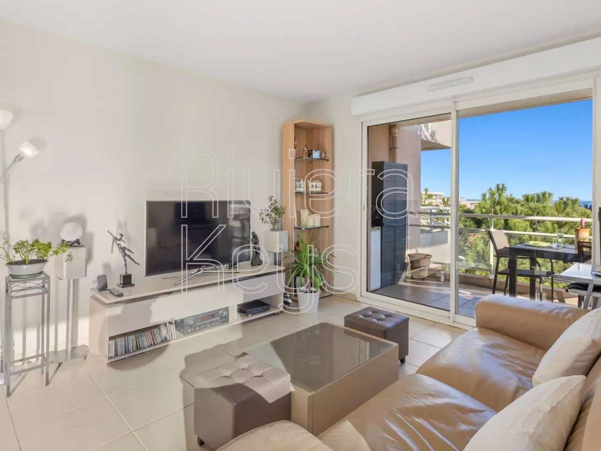Apartment Antibes