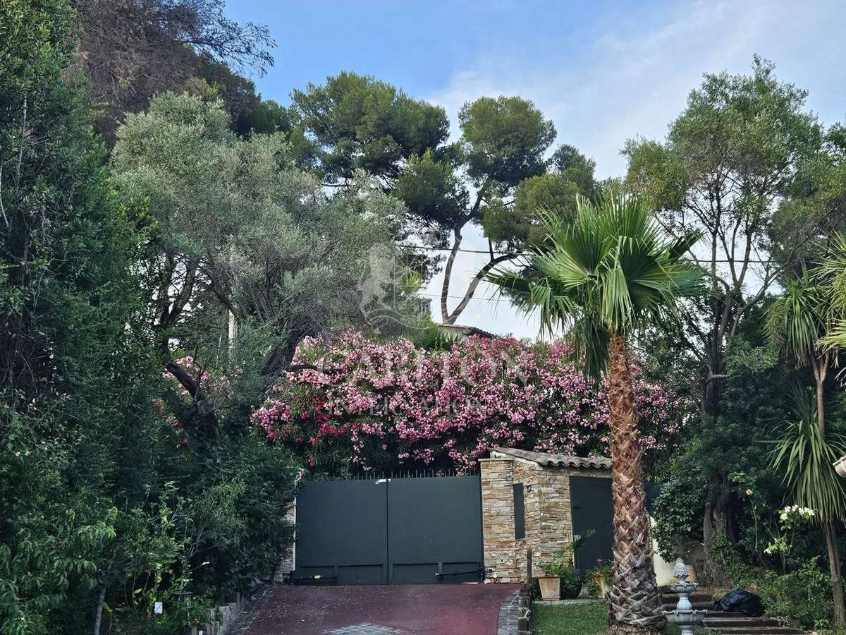 House Antibes