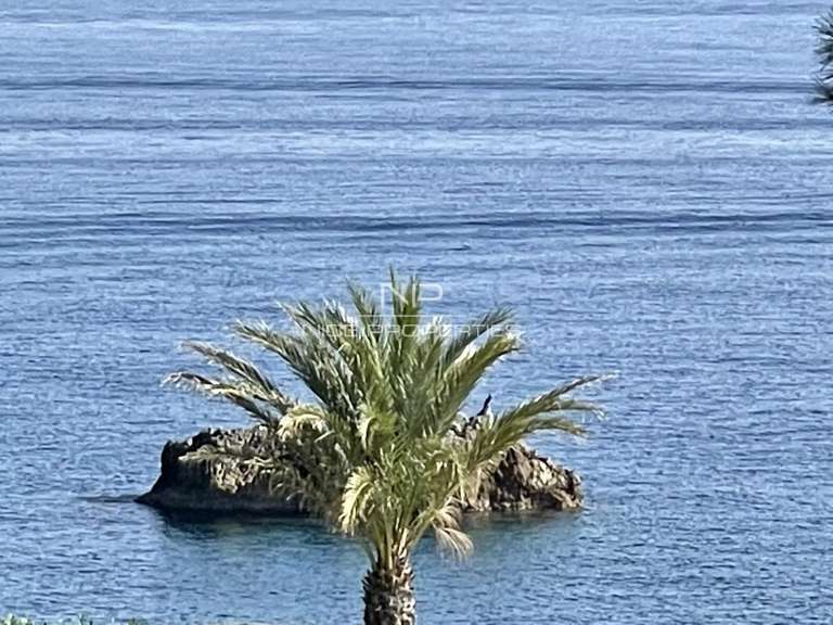 Villa avec Vue sur mer Antibes - 4 chambres - 262m²