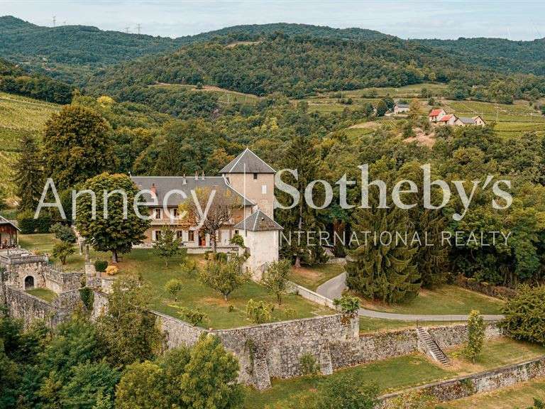 Château Apremont - 10 chambres - 400m²