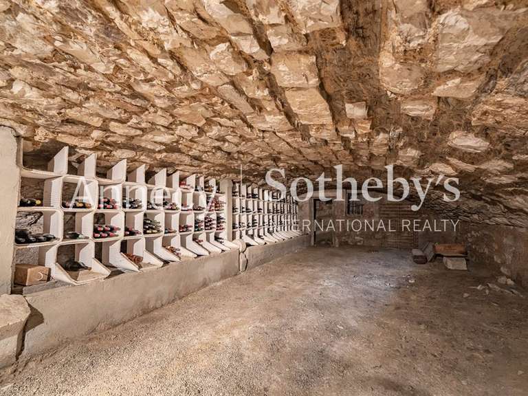 Château Apremont - 10 chambres - 400m²