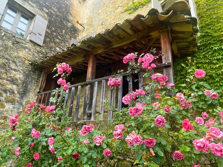 House Apt - 6 bedrooms - 273m²