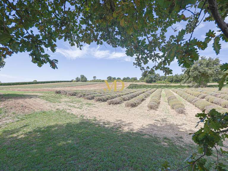 Maison Apt - 7 chambres - 265m²