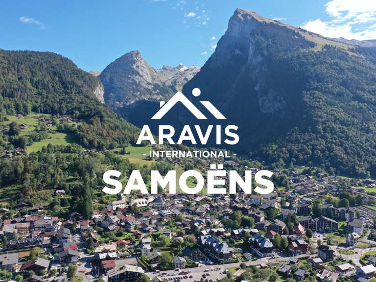 Maison Arâches-la-Frasse - 6 chambres - 273m²