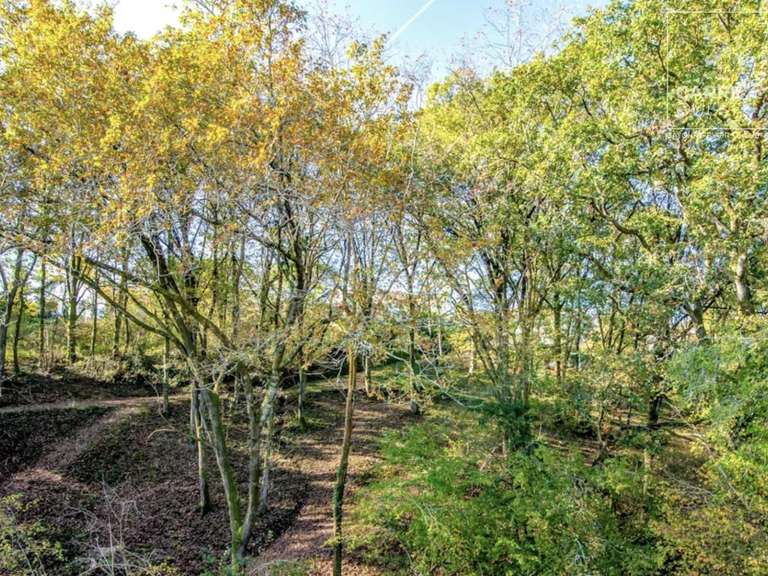 House Arbonne - 5 bedrooms - 275m²