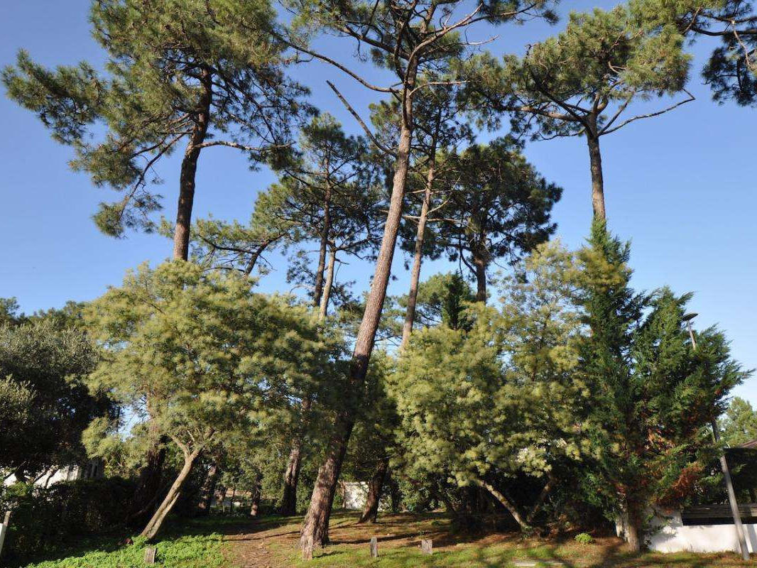 Maison Arcachon