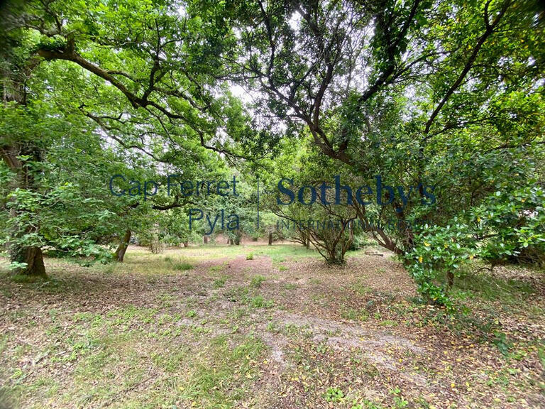 Terrain Arcachon - 1050m²