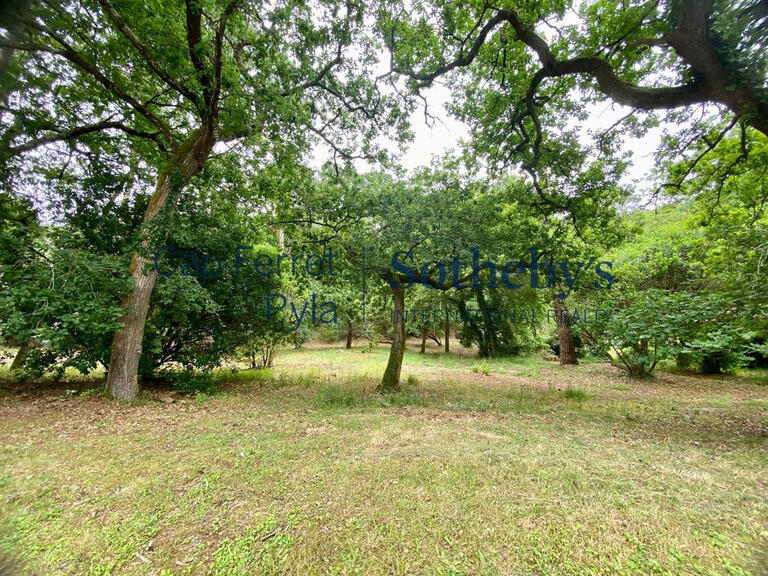 Terrain Arcachon - 1053m²