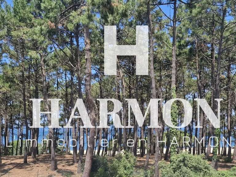 Villa Arcachon - 450m²