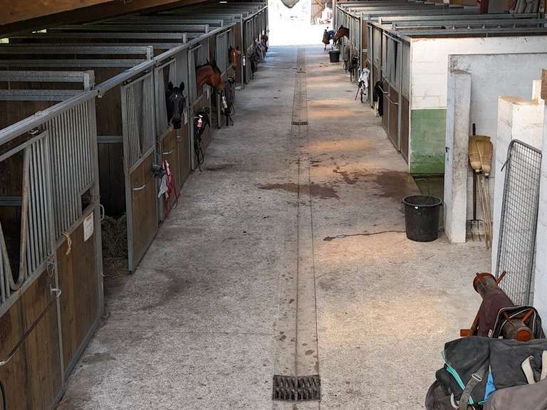 Equestrian property Ardon - 5 bedrooms - 250m²