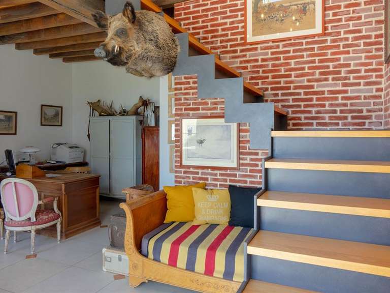 Equestrian property Ardon - 5 bedrooms - 250m²