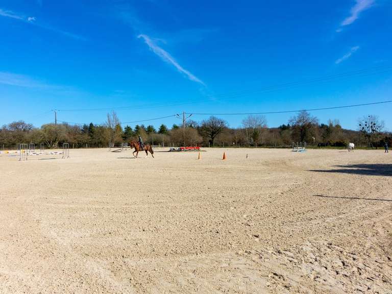 Equestrian property Ardon - 5 bedrooms - 250m²