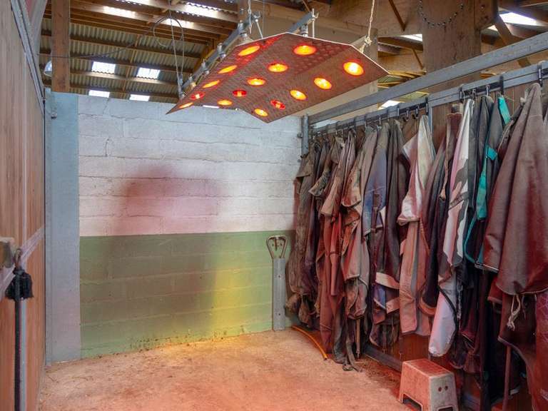 Equestrian property Ardon - 5 bedrooms - 250m²