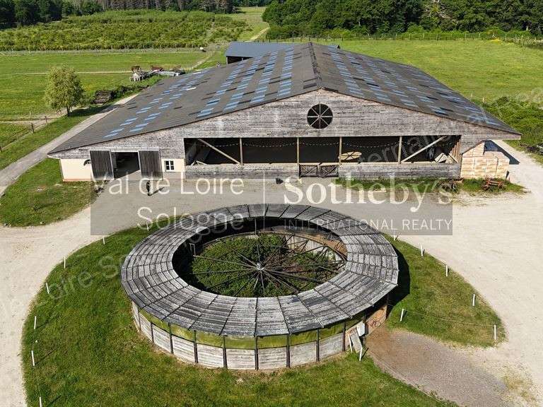 Equestrian property Ardon