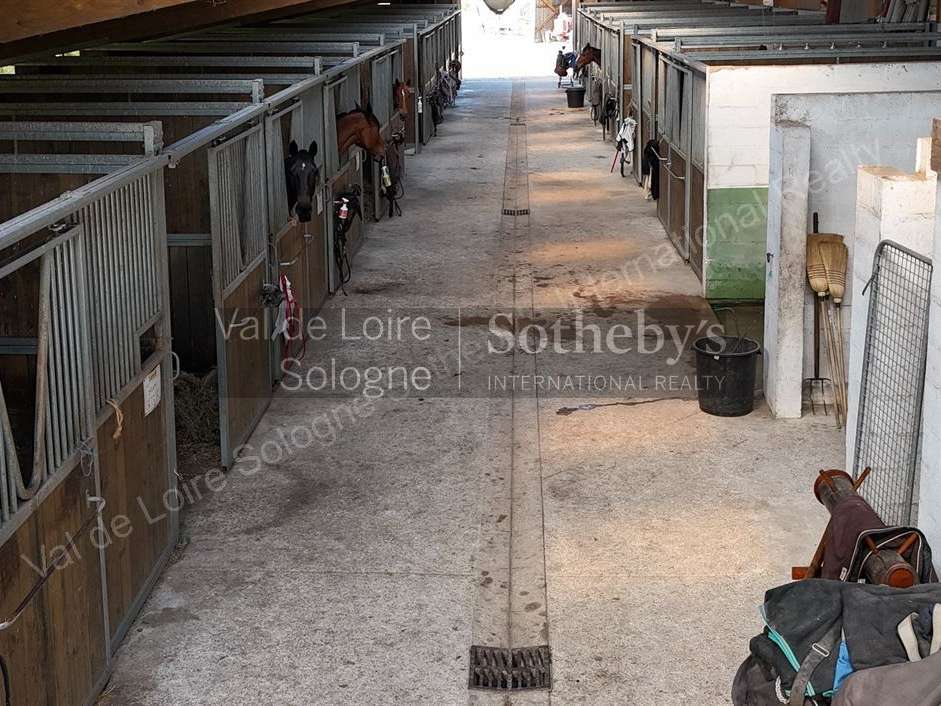Equestrian property Ardon
