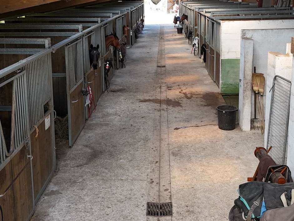 Propriété équestre Ardon