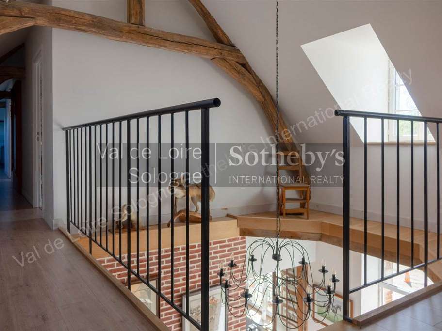 Equestrian property Ardon