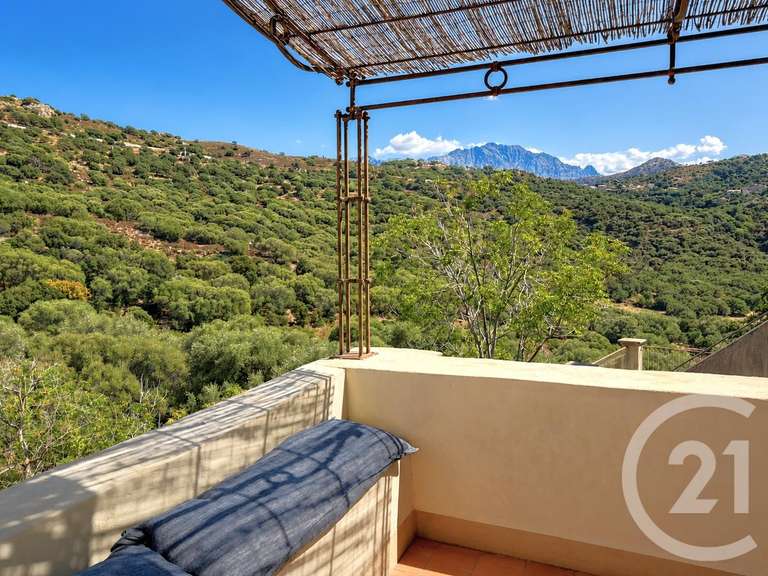 Maison Aregno - 4 chambres - 164m²