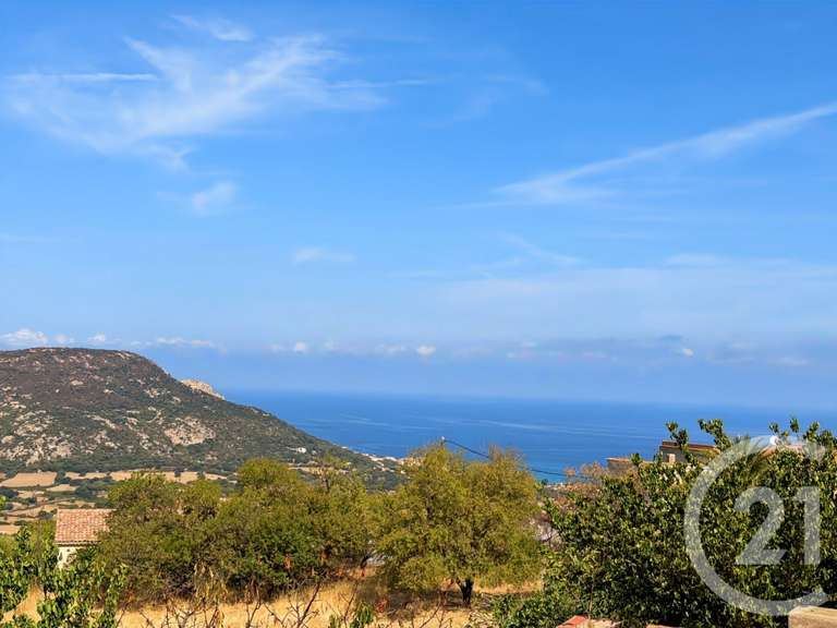 Maison avec Vue sur mer Aregno - 3 chambres - 94m²