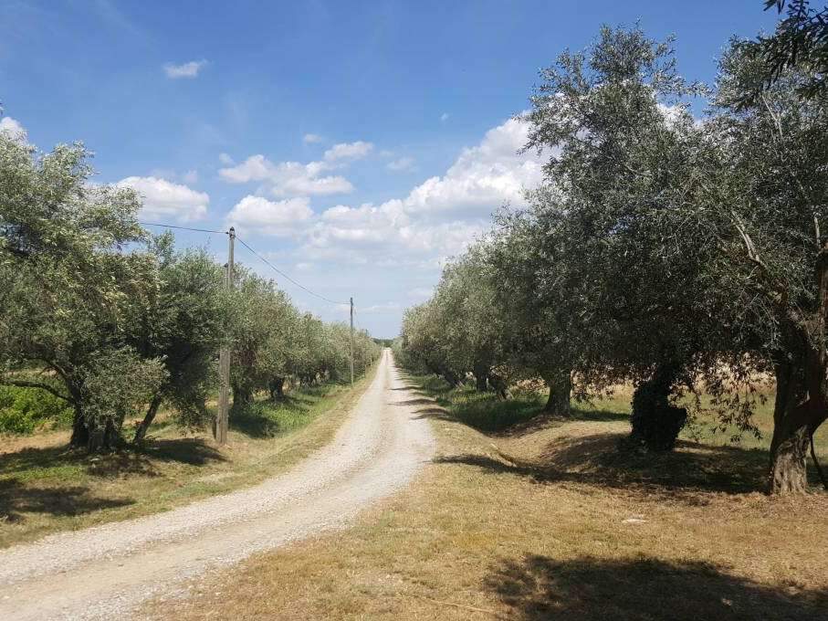 House Argens-Minervois