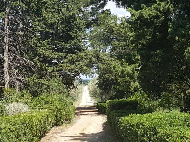 House Argens-Minervois - 21 bedrooms - 1200m²