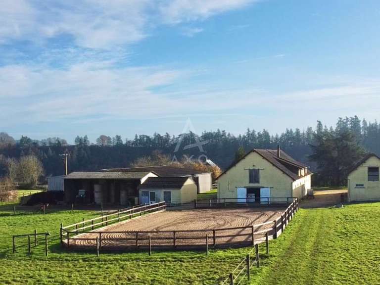 House Argentan - 4 bedrooms