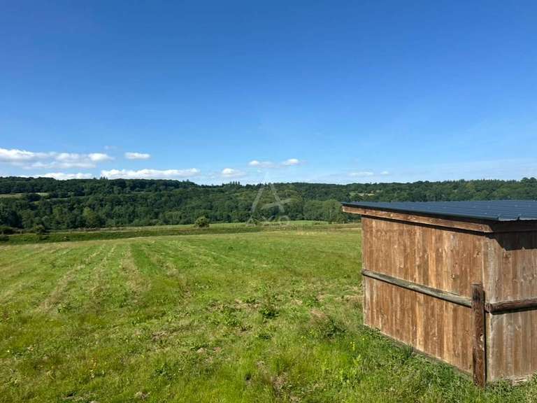 House Argentan - 4 bedrooms