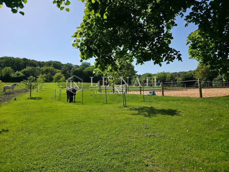 Manoir Argentan - 4 chambres - 240m²