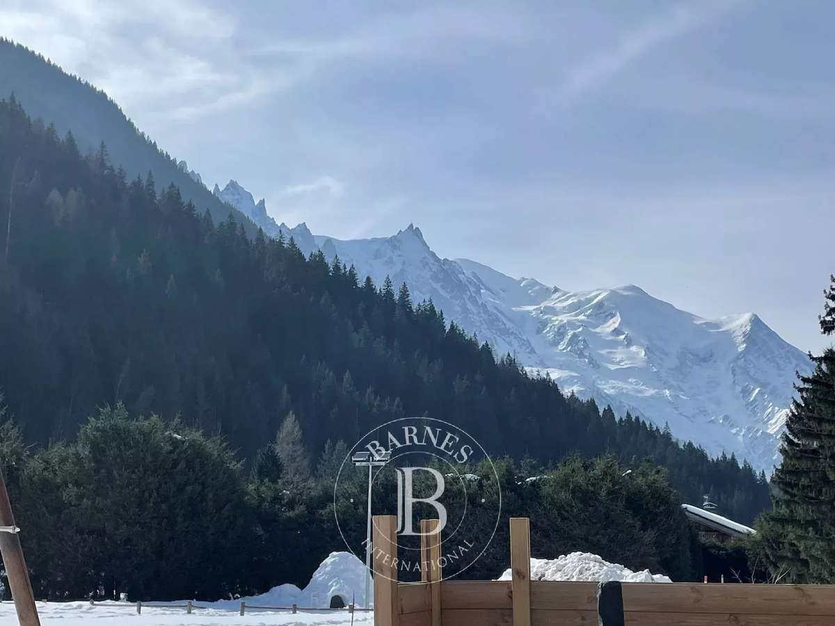 Appartement Argentiere