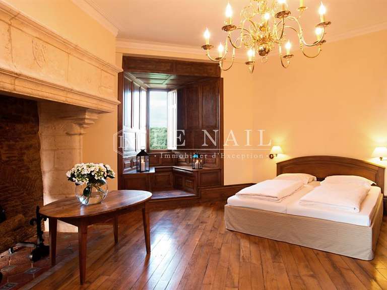 Castle Argenton-sur-Creuse - 22 bedrooms - 1750m²